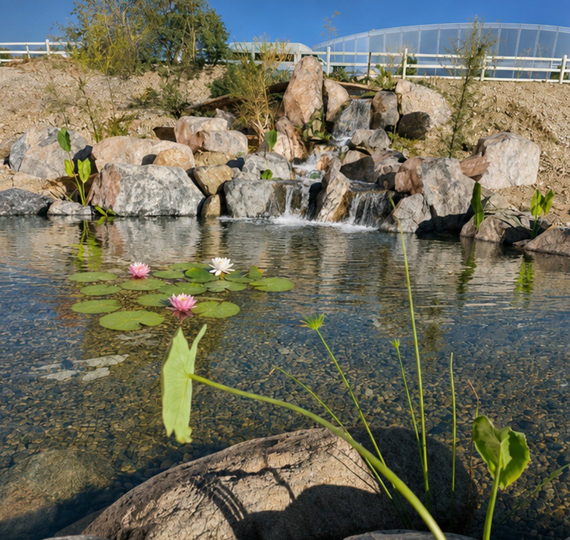 The finished ecosystem pond with running waterfall and mature planting