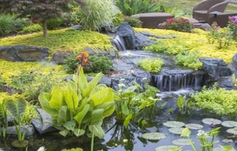 Medium pond waterfall with a longer stream and boulder edging
