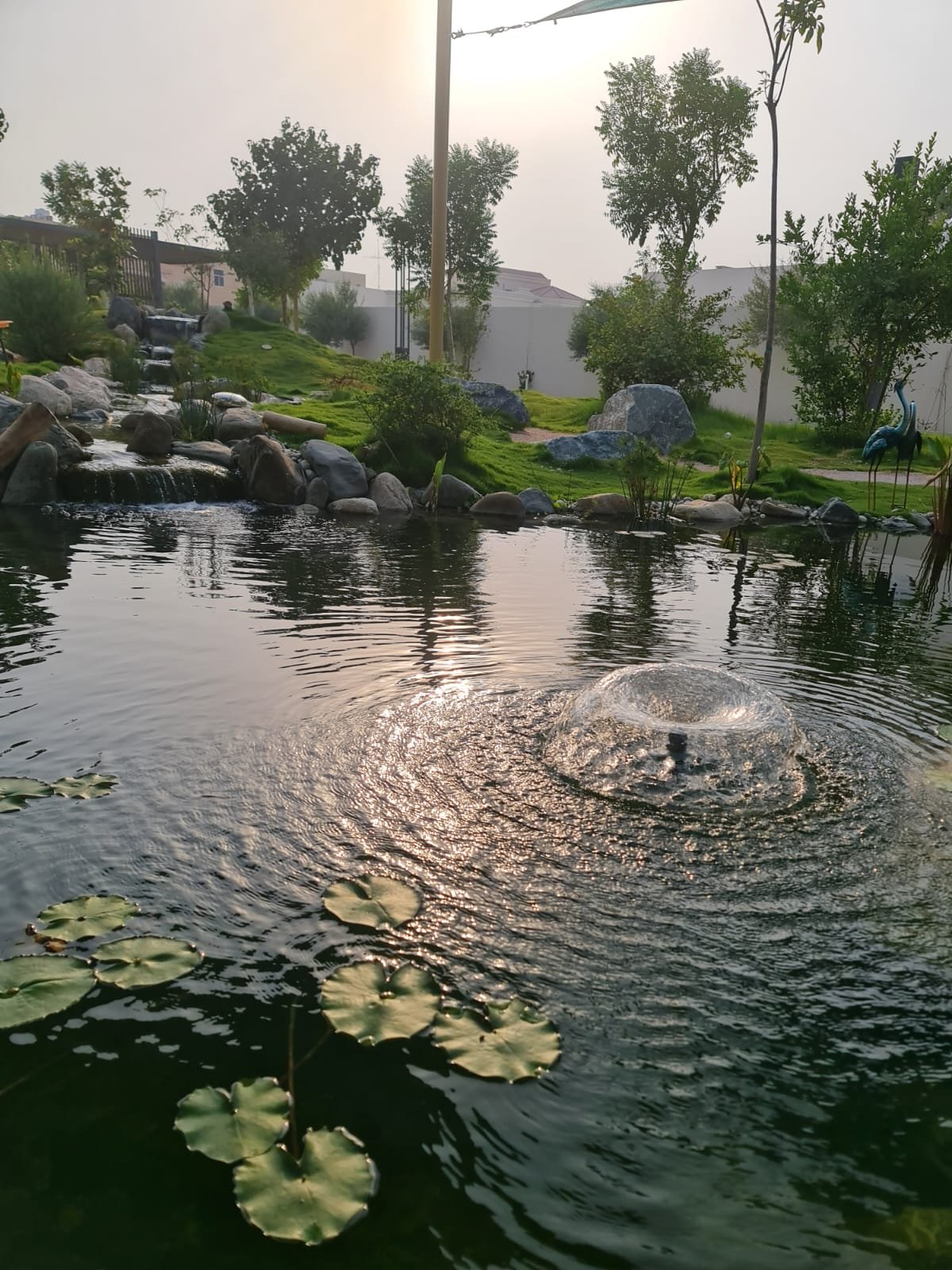 A completed ecosystem pond with boulder edging, aquatic planting and clear water